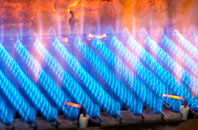 Steep Marsh gas fired boilers